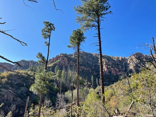 View of the Mogollon Escarpment