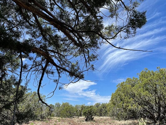 Views from the plateaus around Pine, AZ