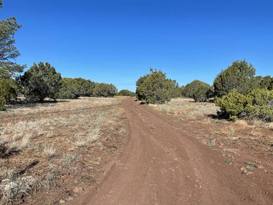 Rocky forest service roads on the hike into Flagstaff, AZ