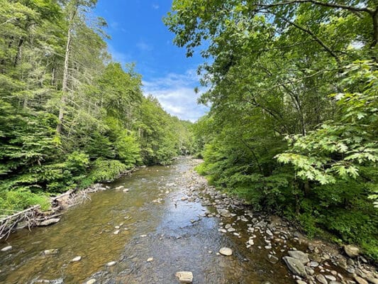 Shepaug River at Summertime