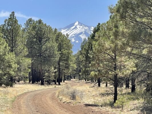 Hiking away from Humboldt Mountain on the Arizona Trail