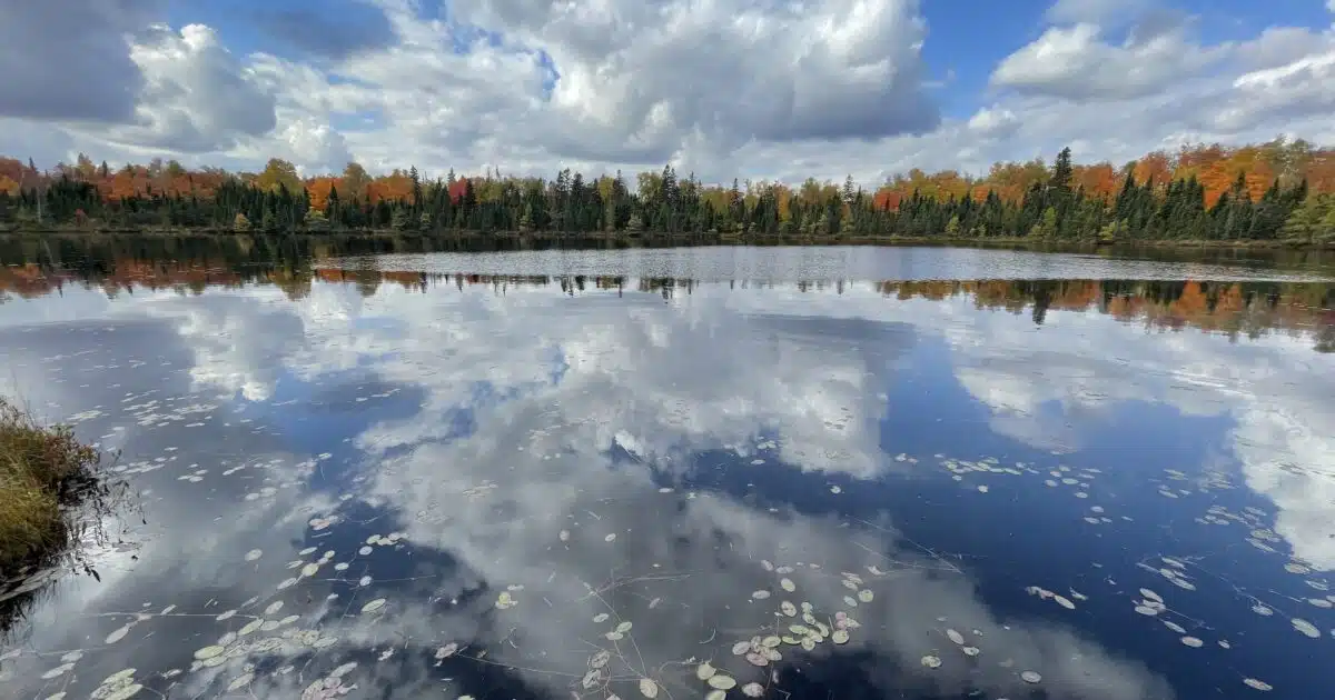 Pond reflection near Lake Superior