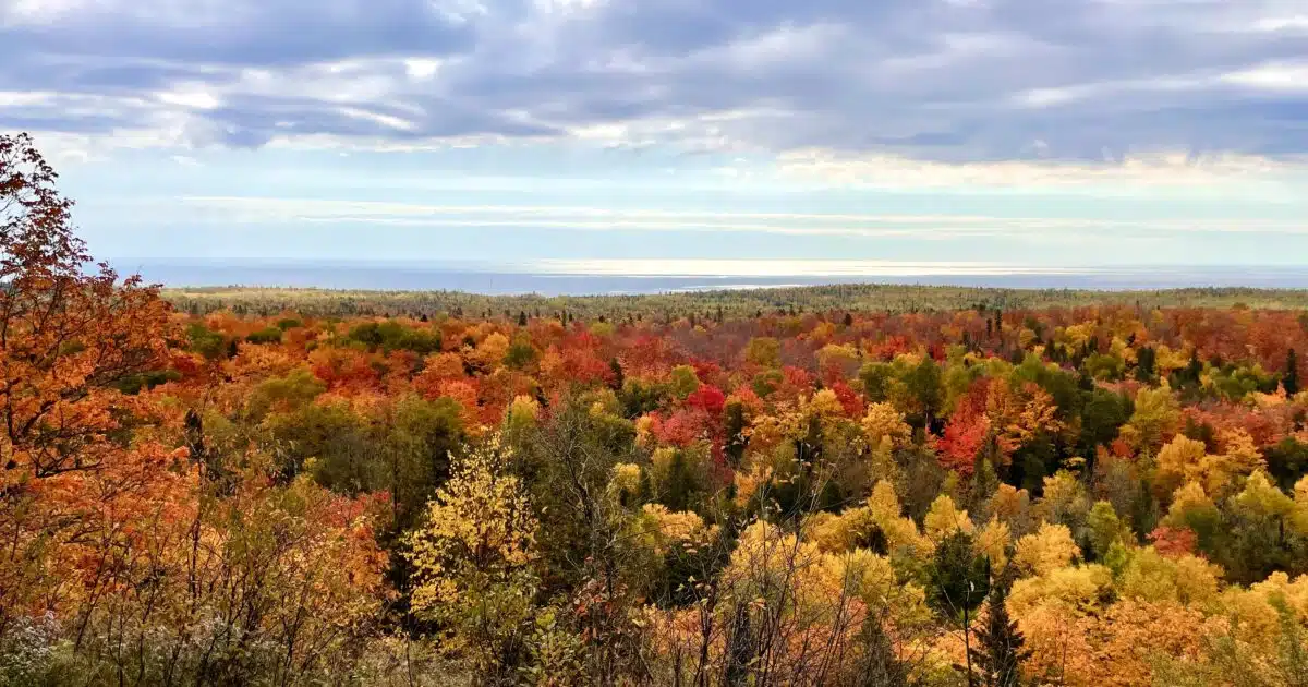 Fall foliage over Lake Superior