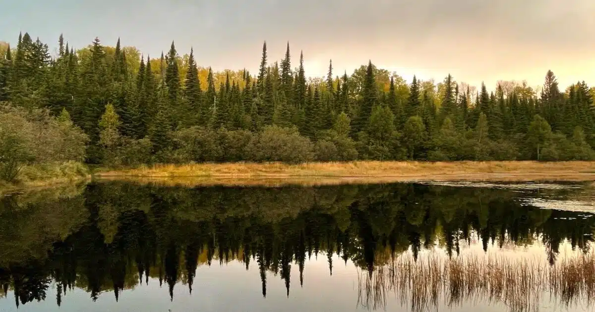 Afternoon reflection on beaver pond near the Superior Trail.