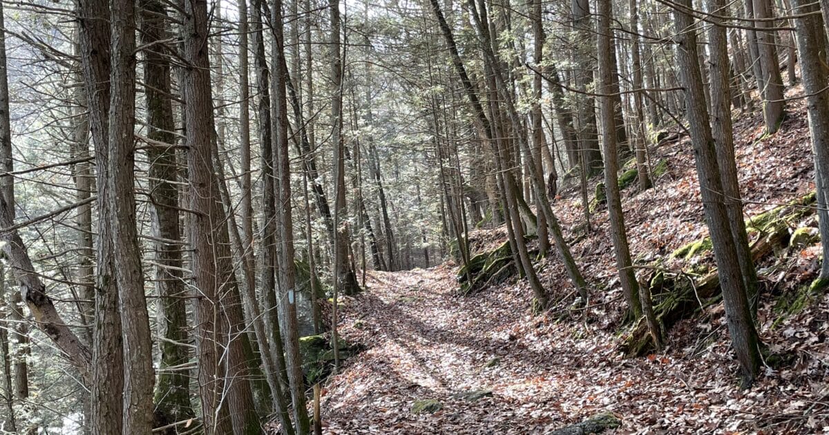 Hike along Hancock Brook Loop