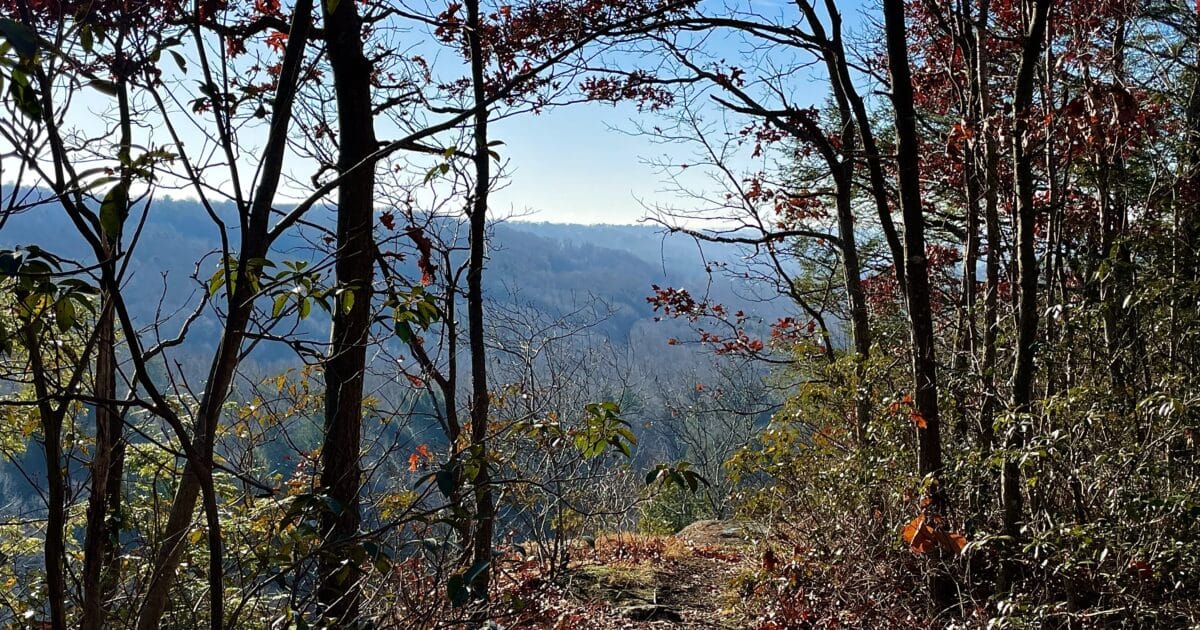 View out over valley below Hancock Brook Loop Trail