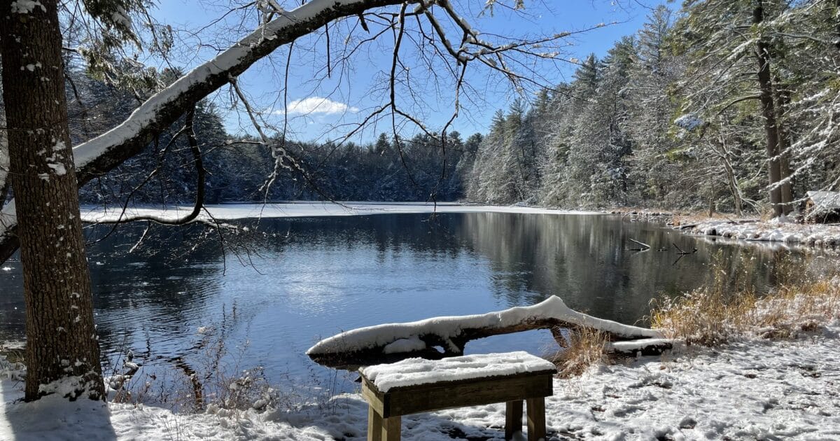 Spring Pond and Bench off the trail