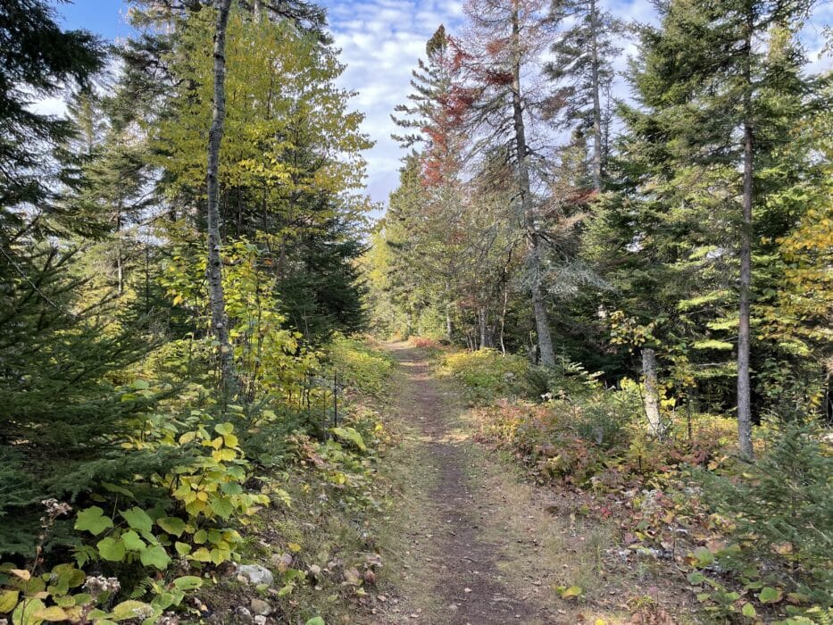 Trail after small shelter on the Superior Trail