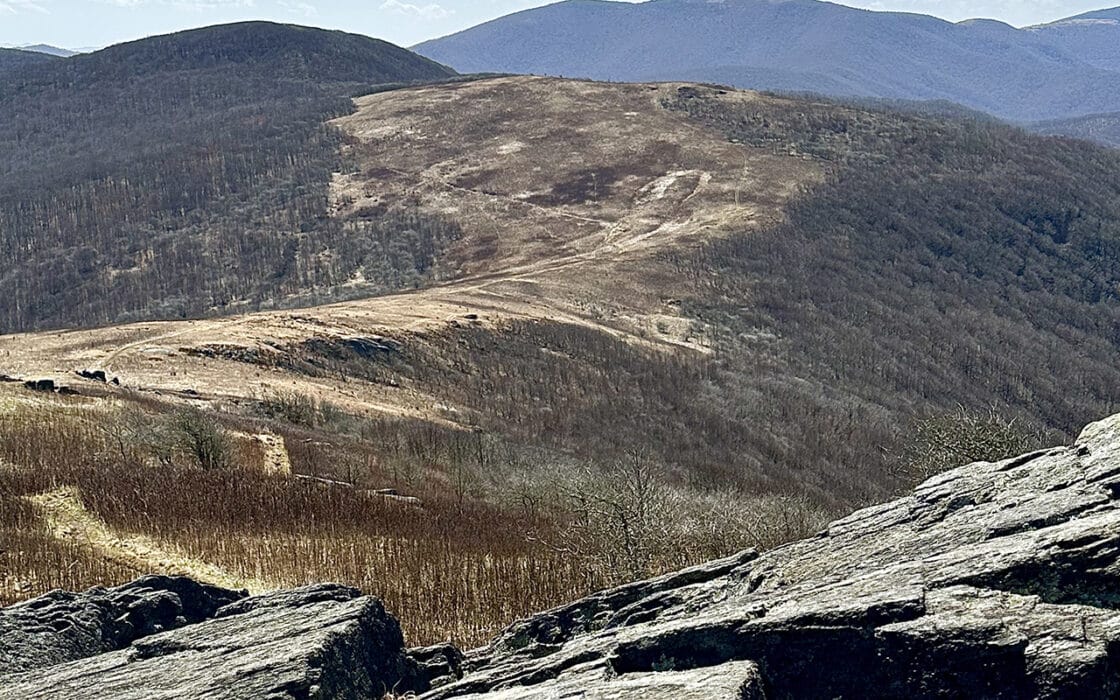 Roan balds on the Appalachian trail in North Carolina