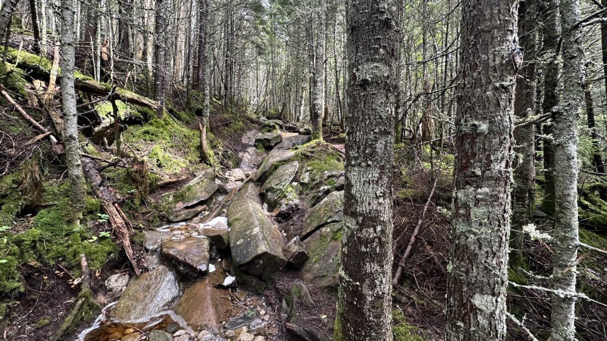 Rock scramble up Appalachian Trail in the rain.